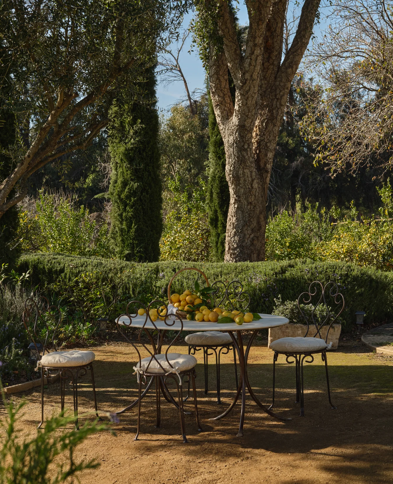 Serendipity Chair - Image 9