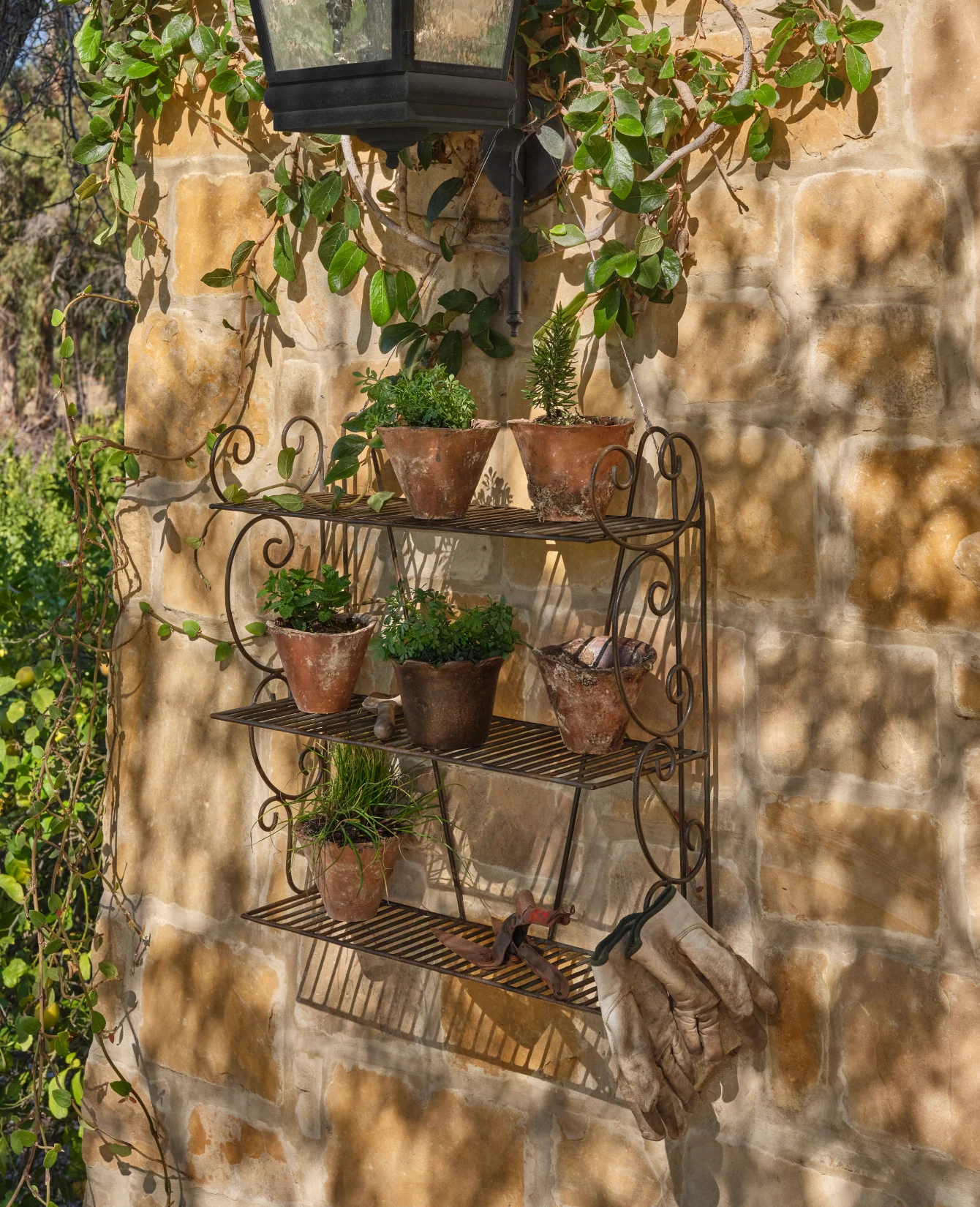Sonnet Potting Shelf - Image 4