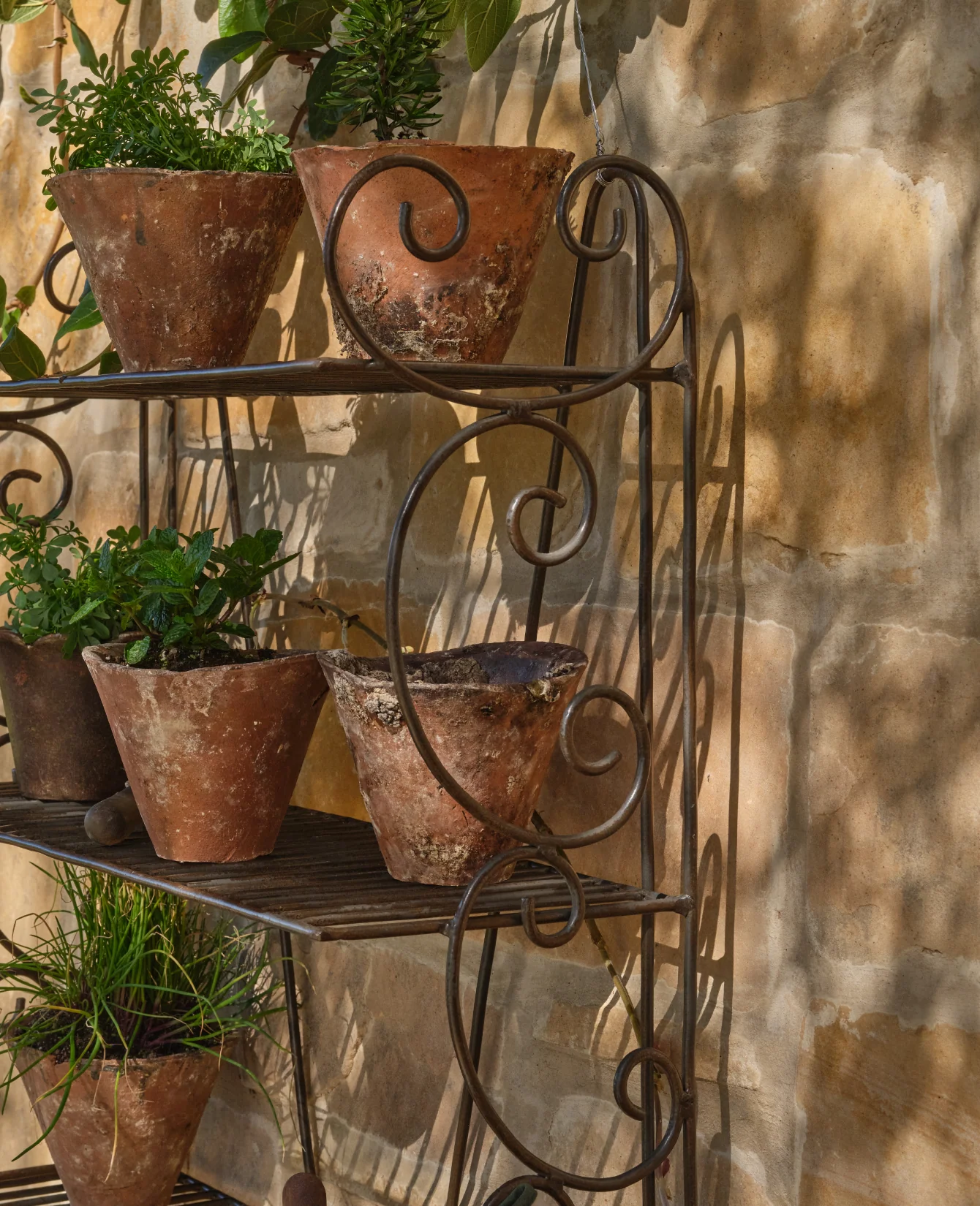 Sonnet Potting Shelf - Image 5